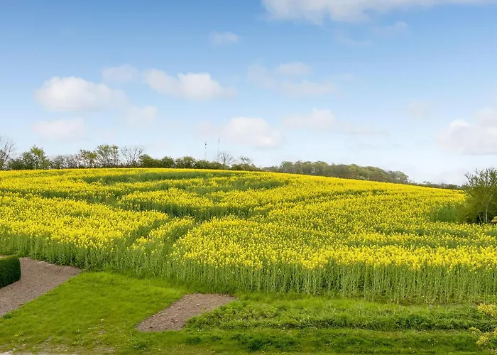 Cozy In With Kitchen *
